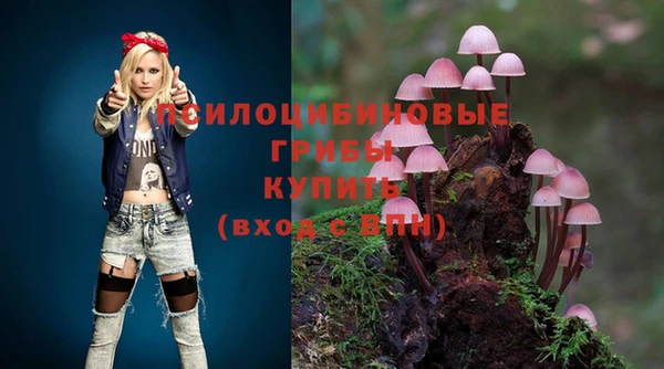 экстази Алексеевка