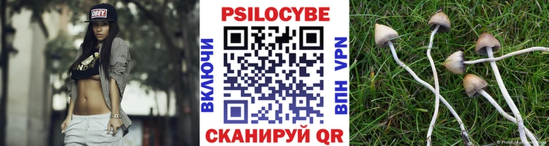 Галлюциногенные грибы Psilocybine cubensis Щучье