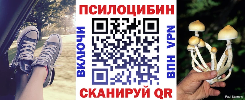 мориарти Telegram Щучье Псилоцибиновые грибы Psilocybine cubensis